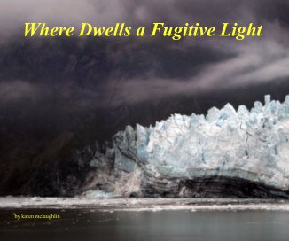 Where Dwells a Fugitive Light book cover