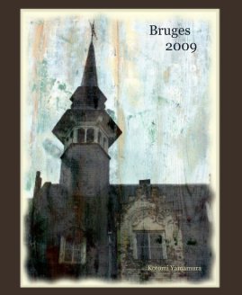 Bruges 2009 book cover