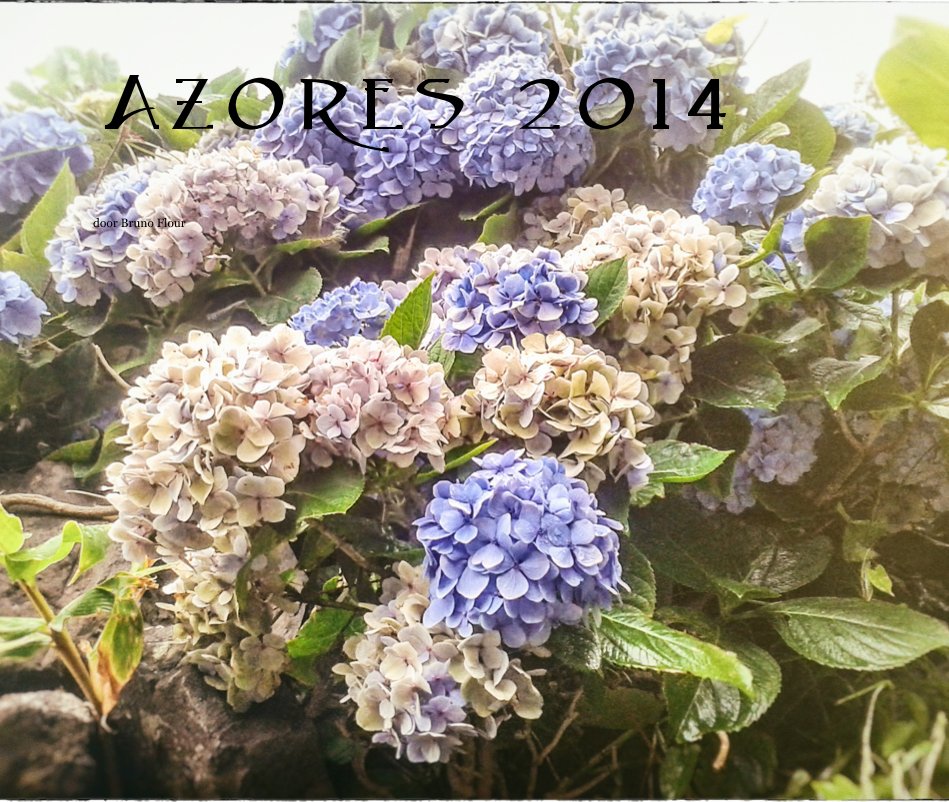 Ver Azores 2014 por door Bruno Flour
