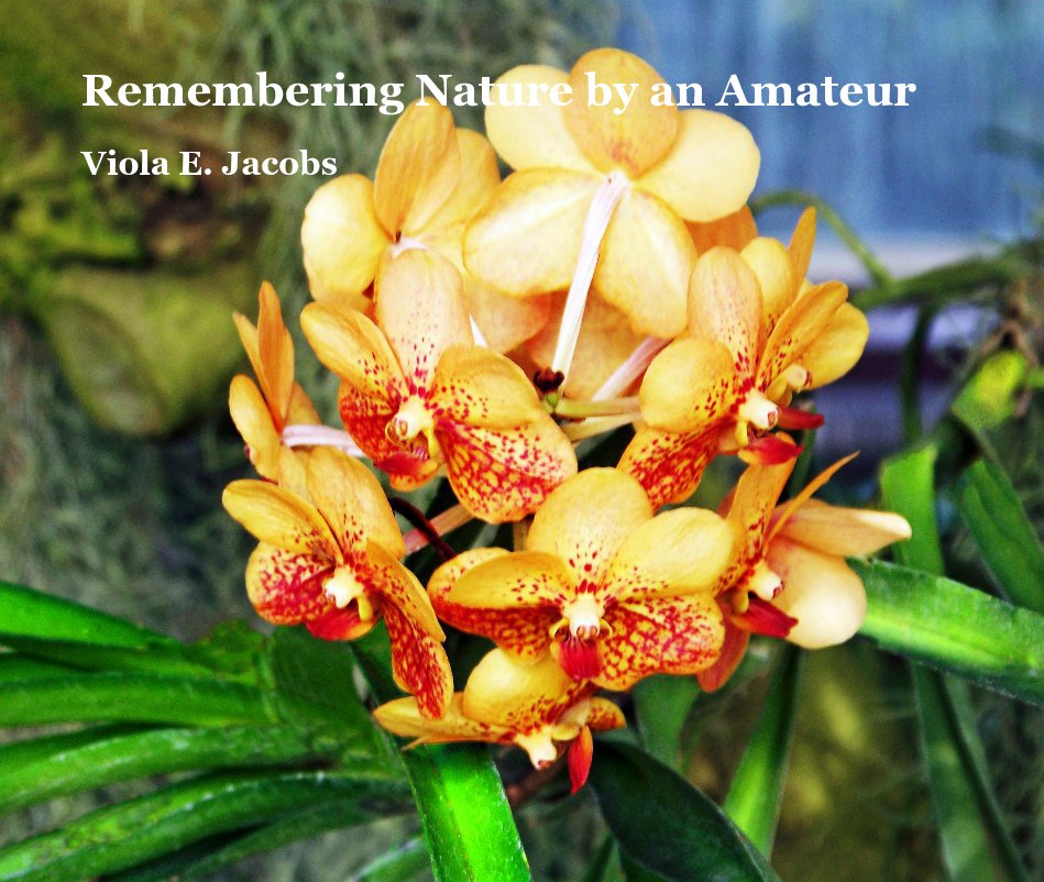 Ver Remembering Nature by an Amateur por Viola E. Jacobs