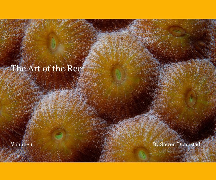 View The Art of the Reef Volume 1 By Steven Dramstad by Steven Dramstad