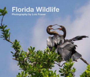 Florida Wildlife book cover