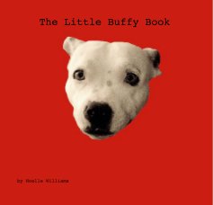 The Little Buffy Book book cover