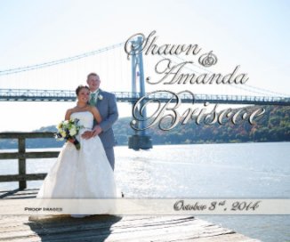Briscoe Wedding book cover