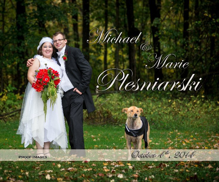 View Plesniarski Wedding by Photographics Solution