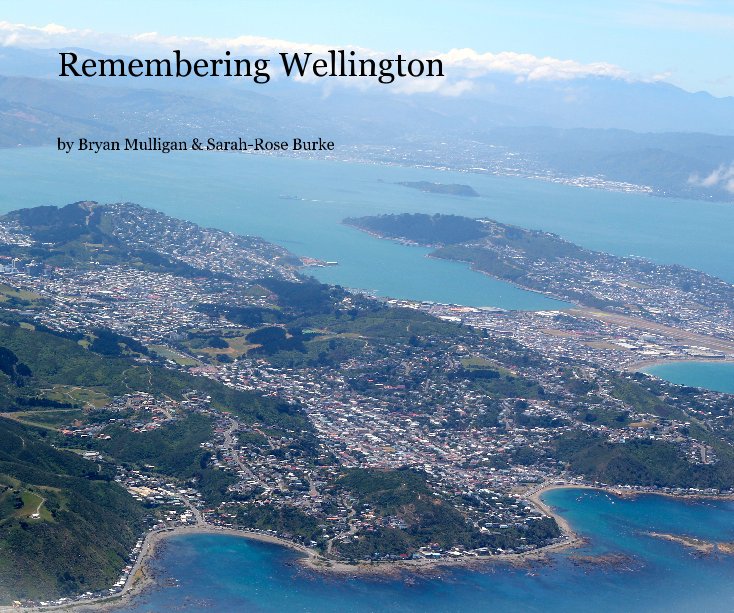 View Remembering Wellington by Bryan Mulligan & Sarah-Rose Burke