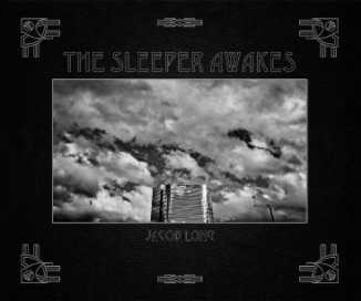 The Sleeper Awakes book cover
