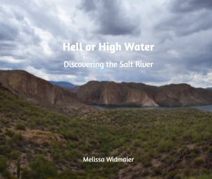 Hell or High Water book cover