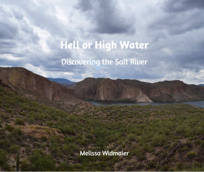 View Hell or High Water by Melissa Widmaier