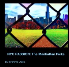 NYC PASSION: The Manhattan Picks book cover