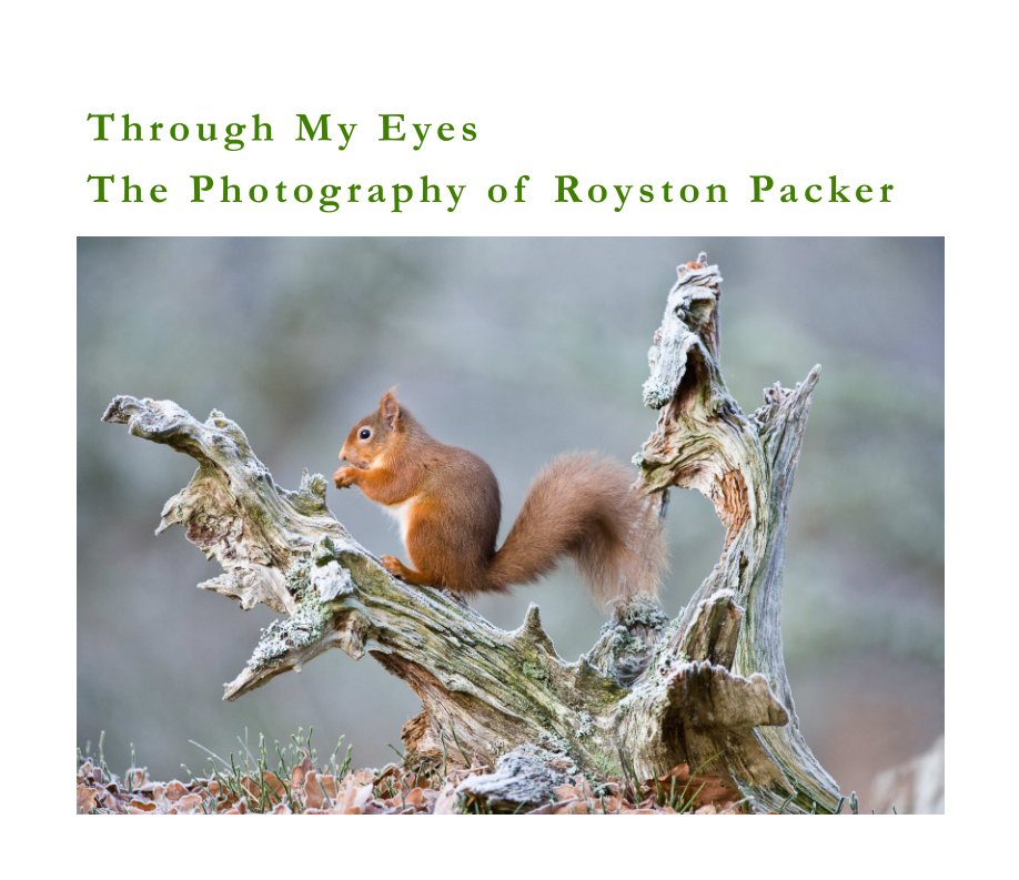 View Through My Eyes by Royston Packer