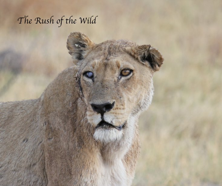 View The Rush of the Wild by Erin Wampole