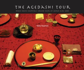 The Agedashi Tour book cover