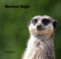 Meerkat Magic book cover