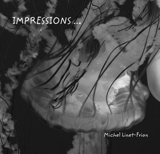 View IMPRESSIONS ... by Michel Linet-Frion