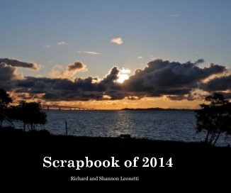 Scrapbook of 2014 book cover