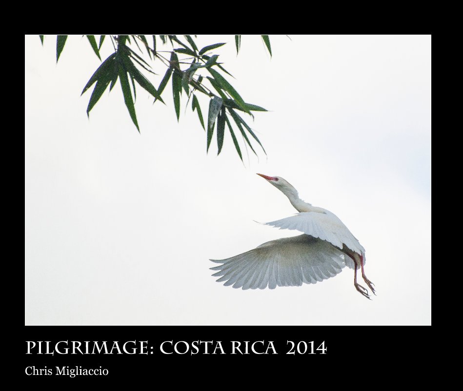 Pilgrimage: Costa Rica 2014 nach Chris Migliaccio anzeigen
