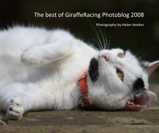 The best of GiraffeRacing Photoblog 2008 book cover