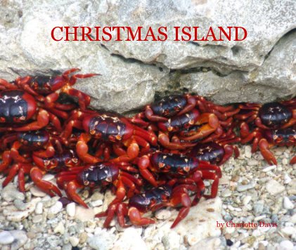 CHRISTMAS ISLAND book cover