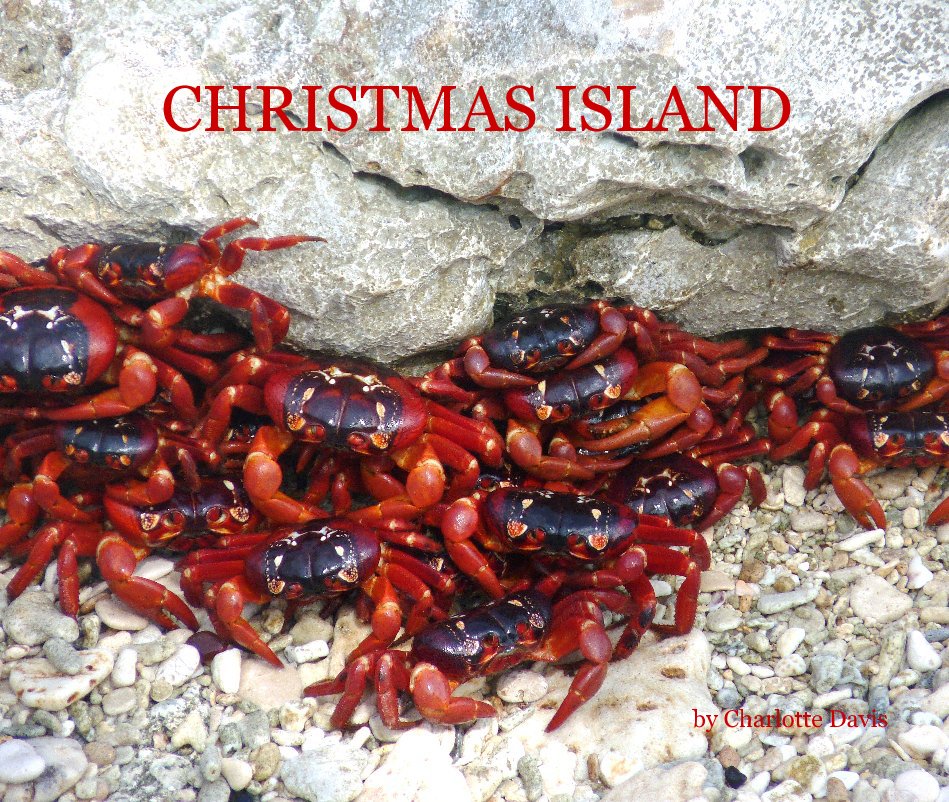 View CHRISTMAS ISLAND by Charlotte Davis