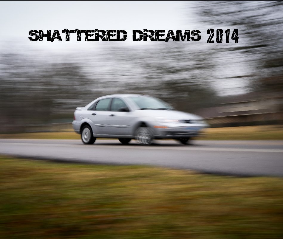 View Shattered Dreams 2014 by Elaine Yznaga