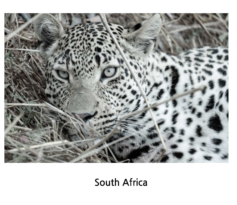 View South Africa by Edward Kartashevsky