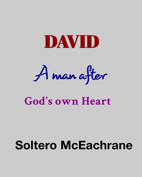 View David, A man after God's own heart by Soltero McEachrane