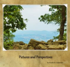 Pictures and Perspectives book cover