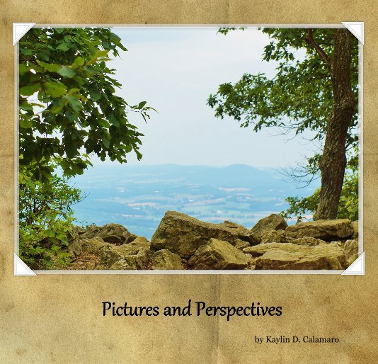 View Pictures and Perspectives by Kaylin D. Calamaro
