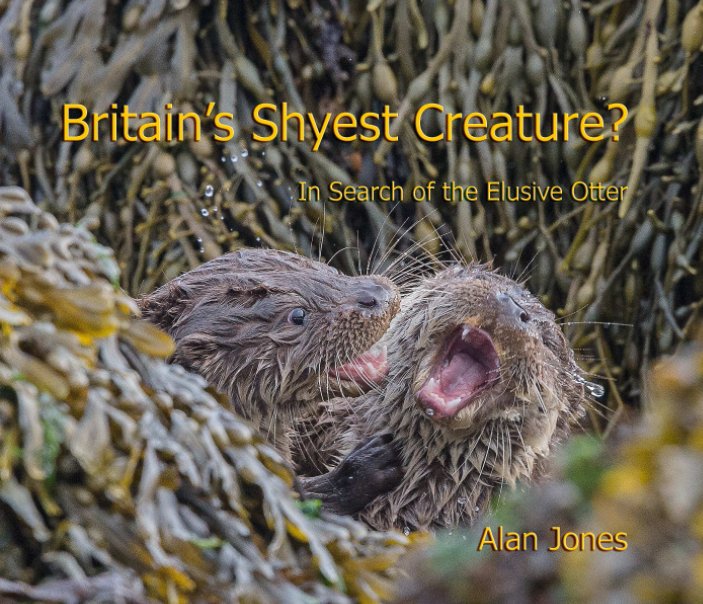 View Britain's Shyest Creature? by Alan Jones