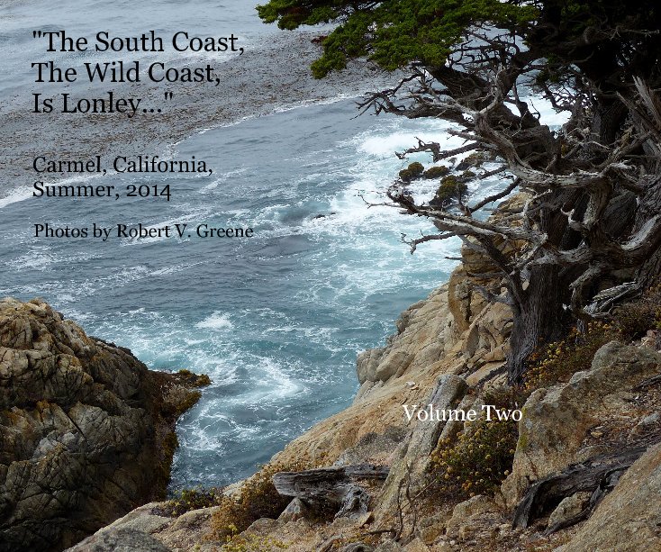 View "The South Coast, The Wild Coast, Is Lonley..." by Photos by Robert V Greene