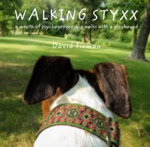 Walking Styxx book cover