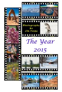 The Year 2015 book cover