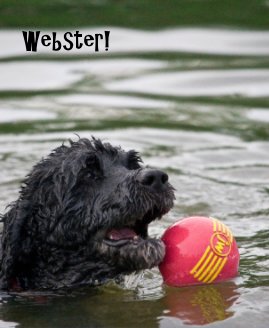 Webster! book cover