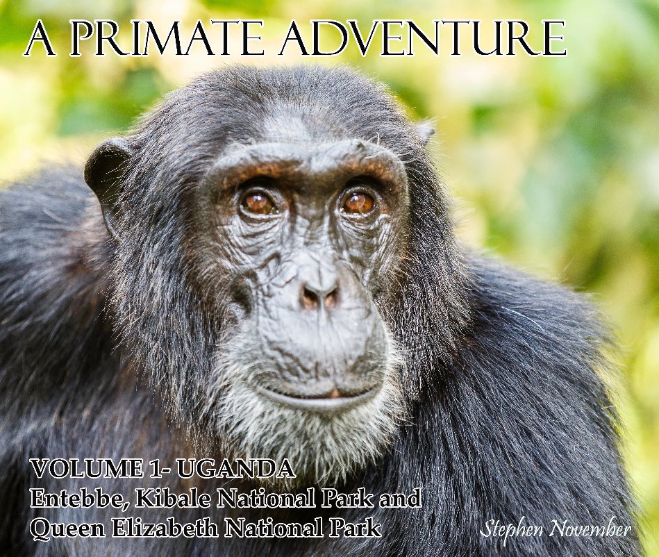 View A PRIMATE ADVENTURE by Stephen November