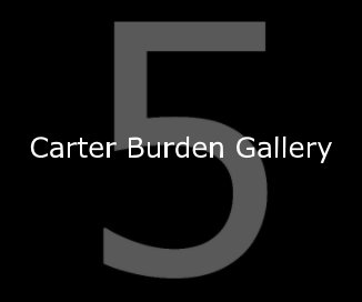 Carter Burden Gallery book cover