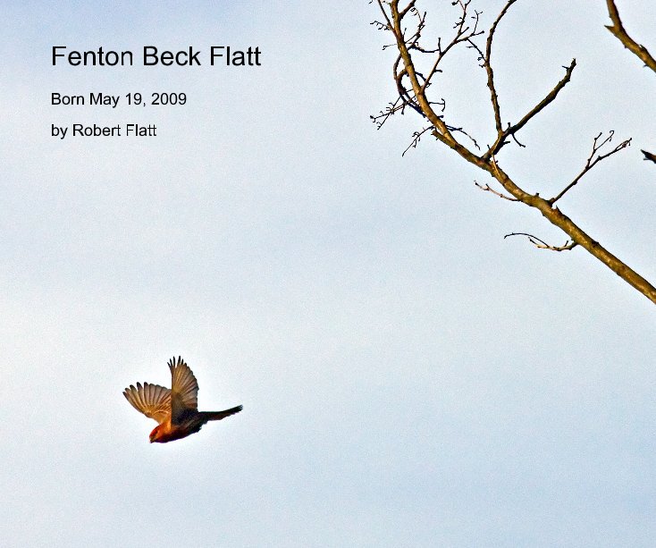 Visualizza Fenton Beck Flatt di Robert Flatt
