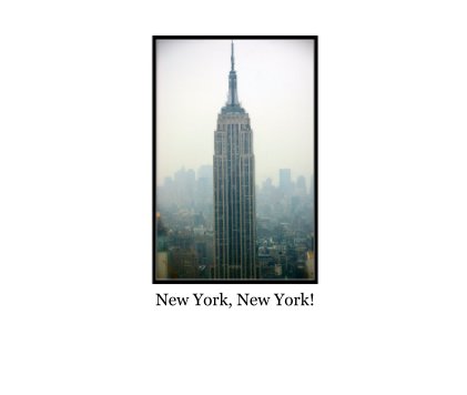 New York, New York! book cover