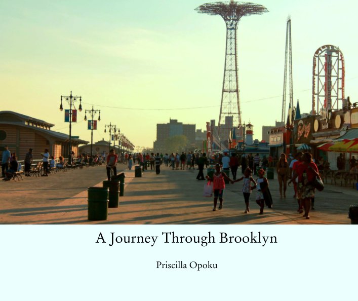 View A Journey Through Brooklyn by Priscilla Opoku