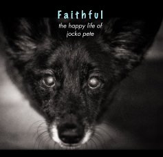 Faithful book cover