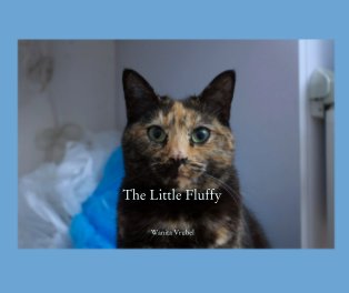 The Little Fluffy book cover