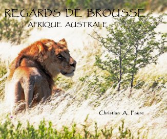 REGARDS DE BROUSSE book cover