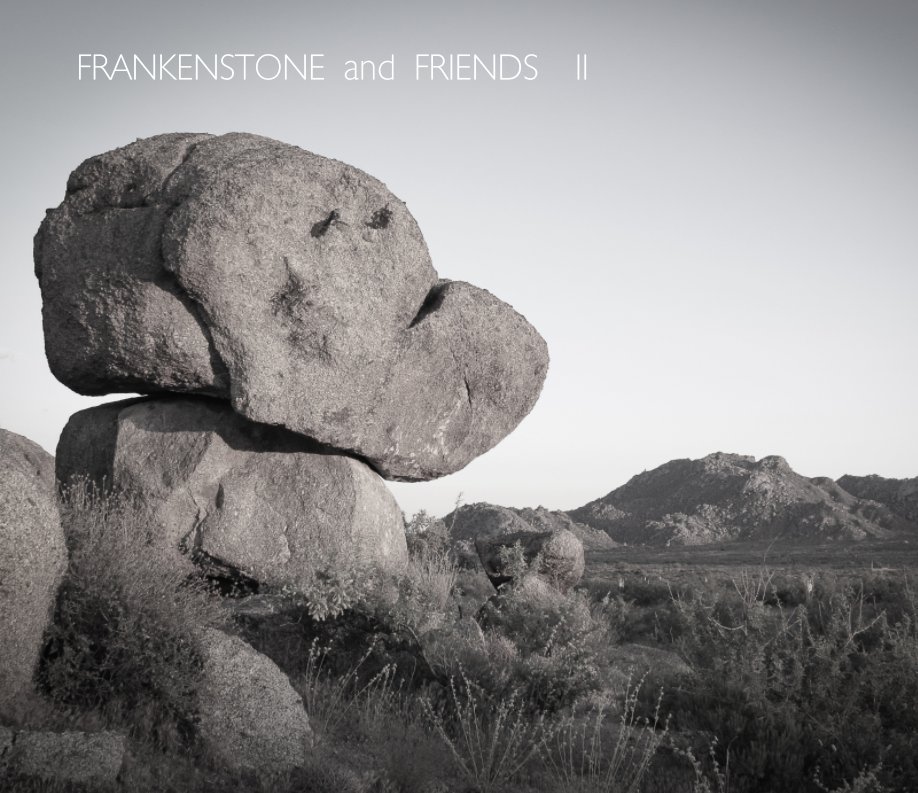 View Frankenstone and Friends II by Marianne Skov Jensen