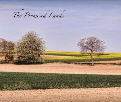 The Promised Lands book cover