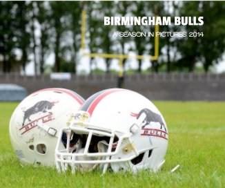 Birmingham Bulls 2014 book cover