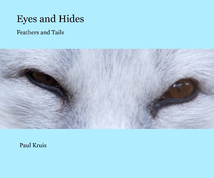View Eyes and Hides by Paul Kruis