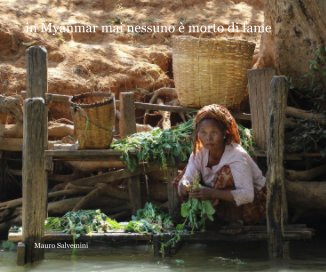 in Myanmar mai nessuno è morto di fame book cover