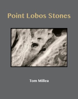 Point Lobos Stones book cover