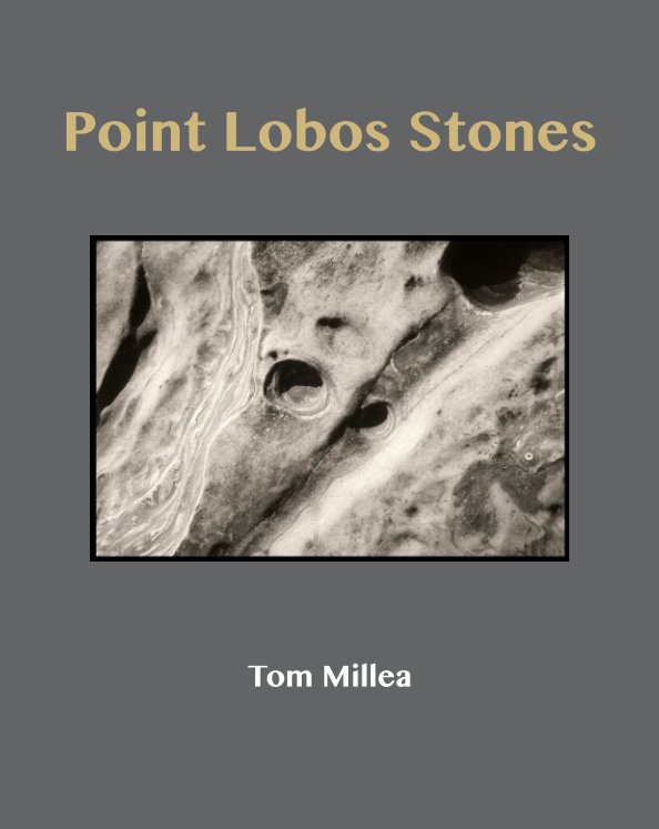 View Point Lobos Stones by Tom Millea