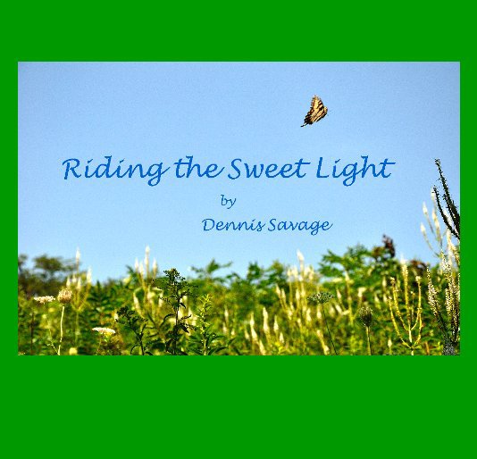 View Riding the Sweet Light by Dennis D Savage